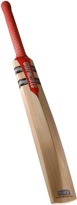 Actual product image Gray Nicolls Technique H