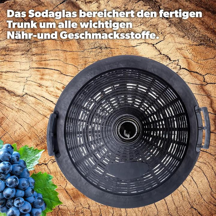 Produktbild Kadax Gärballon mit Korb (5 l)
