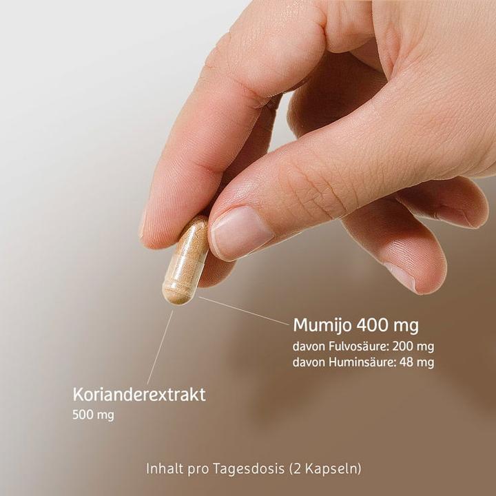 Produktbild Effective Nature Mumijo Shilajit Extrakt (60 Stück, Kapseln, 37 g)