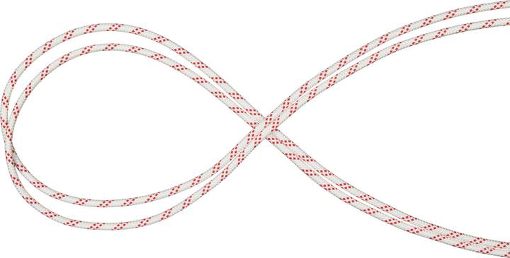 Produktbild Mammut 10.0 Performance Static Climbing Static Ropes bound (50 m)