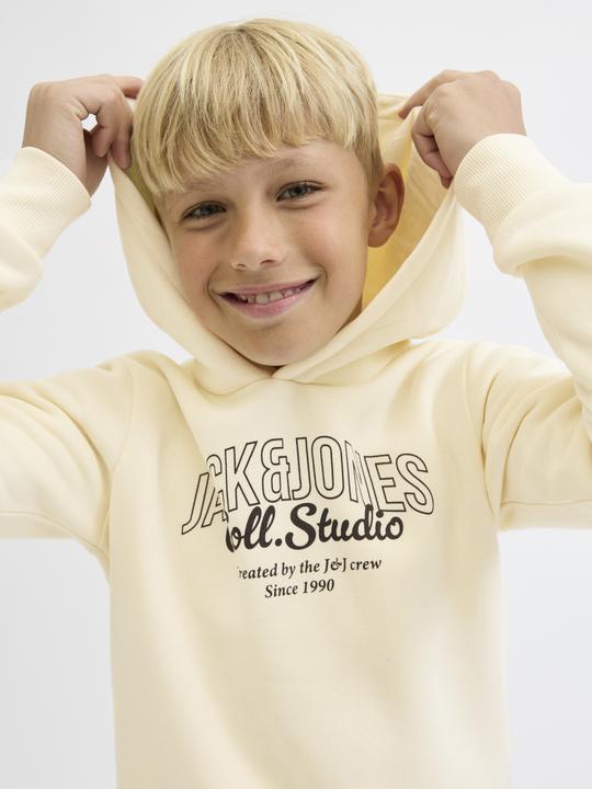 Actual product image Jack & Jones Kapuzenpullover Junior Kapuzenpullover (176)