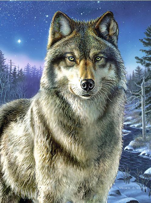 Produktbild Reeves International Malen nach Zahlen "Wolf", 23 x 30 cm