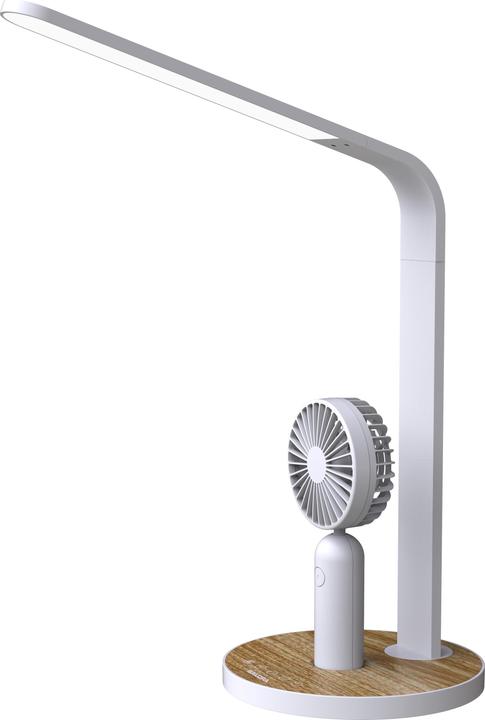 Image du produit Salora TLF450 (330 lm)