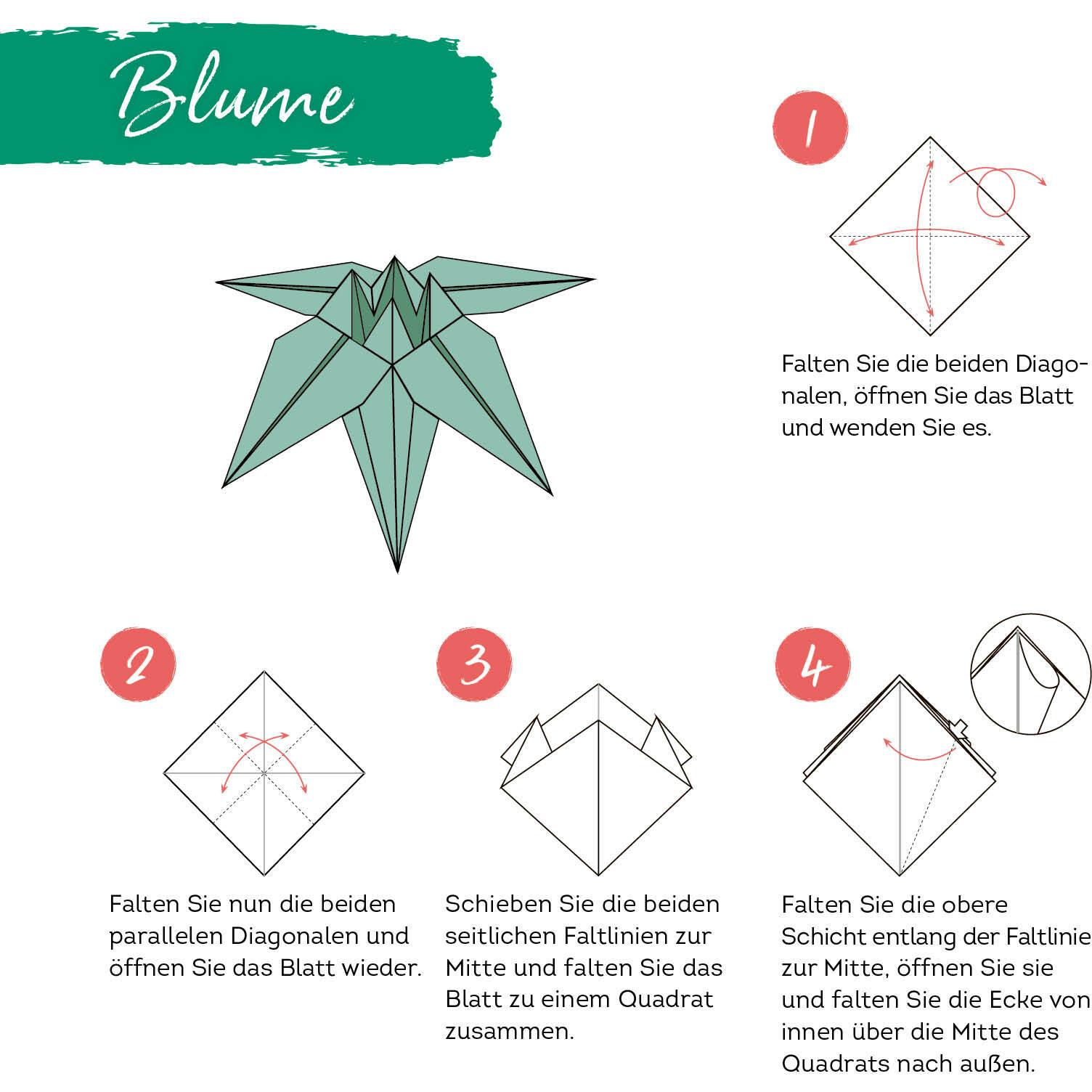 Thumbnail - 333 Origami – Jungle Fever, Ratgeber