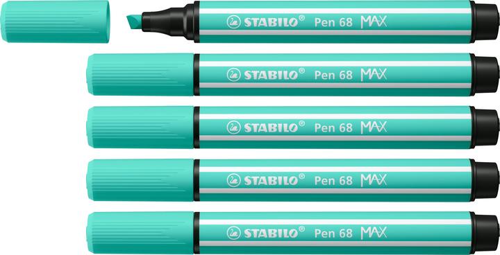 Label énergétique STABILO Pen 68 MAX (Vert glace, 5 x)