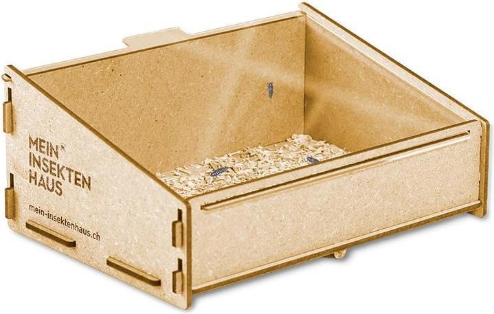 Actual product image Mein Raupenkasten Ladybird house (Ladybirds)