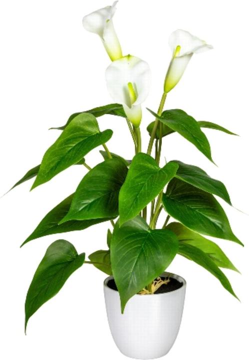 Produktbild Disco Möbel Calla (44 cm)