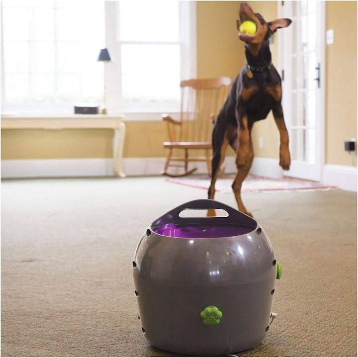 Immagine prodotto PetSafe Lanciatore di palle (Palla giocattolo per cani)