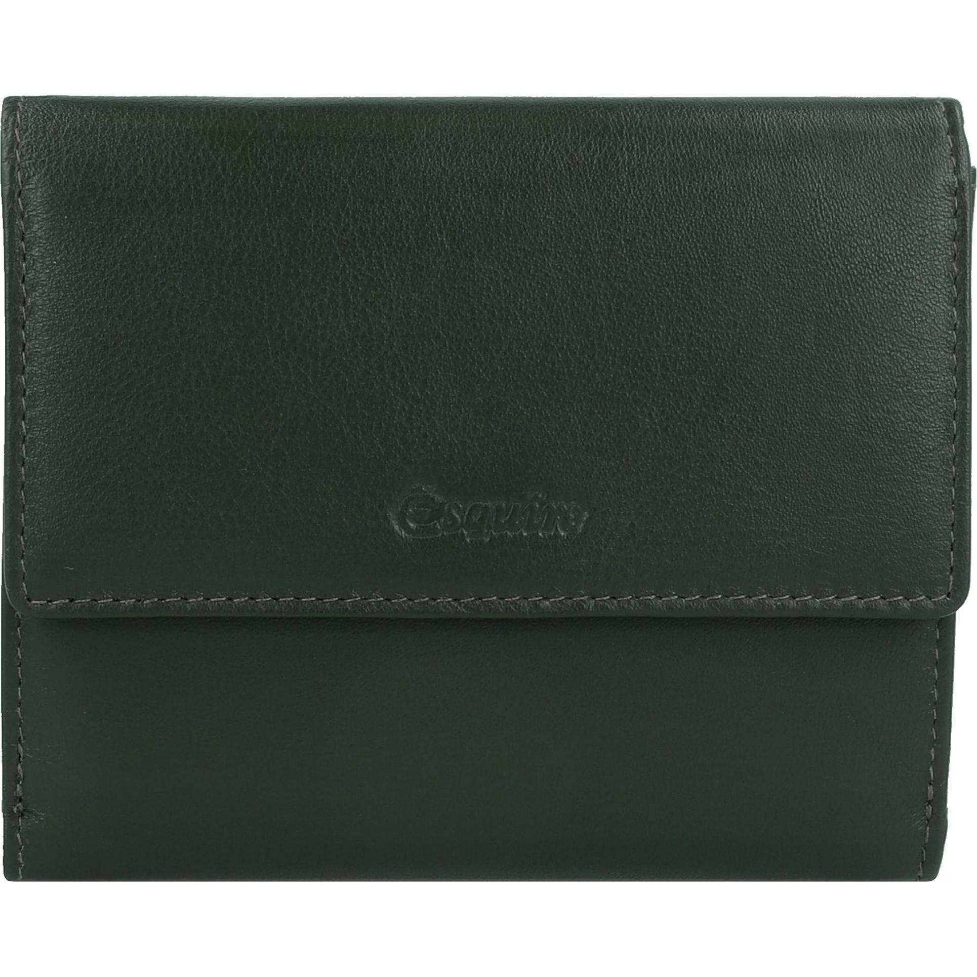 Esquire, Damen, Portemonnaie, Viktoria Geldbörse RFID Leder 12 cm, Grün