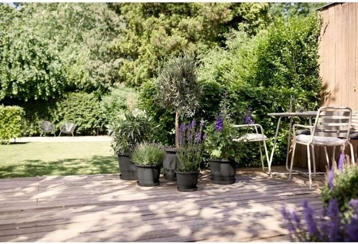 Actual product image Elho Amiga Round (39 x 29 cm)