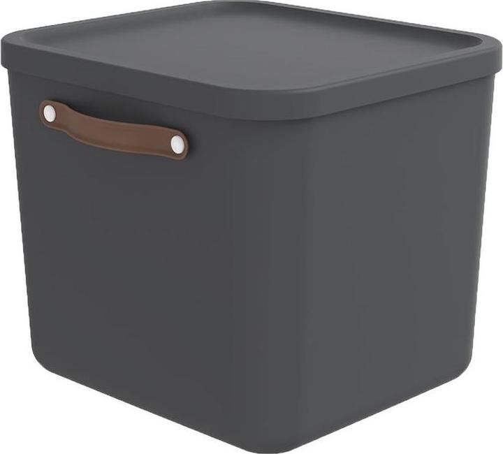 Actual product image Rotho Storage box Maloja 40 l, Meadow Rose (38 cm, 40 l, 1x)