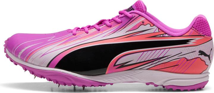 Image du produit Puma evoSPEED Haraka Sparked (44.5)