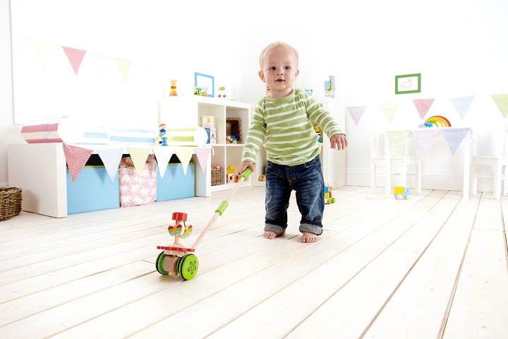 Actual product image Hape Push-Dancing Butterflies