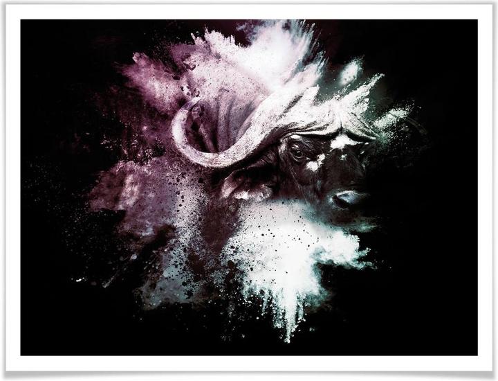 Image du produit Trenddeko Explosion sauvage : le buffle d'eau (50 x 40 cm)