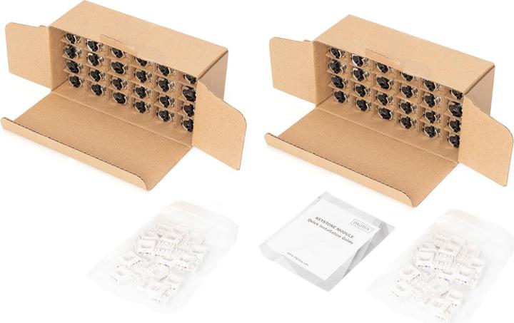 Image du produit Digitus CAT 6A Keystone Jack, blindé, 48 pièces connexion sans outils (Module Keystone)
