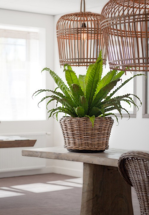 Actual product image Van der Leeden Bali