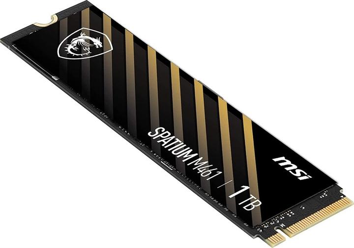 Actual product image MSI Spatium M461 (1000 GB, M.2)