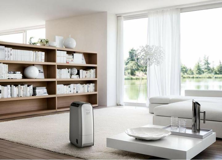 Immagine prodotto De'Longhi DNS80 (7.50 l/24h)