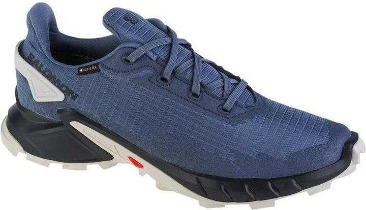 Image du produit Salomon - Baskets ALPHACROSS - Homme (44)