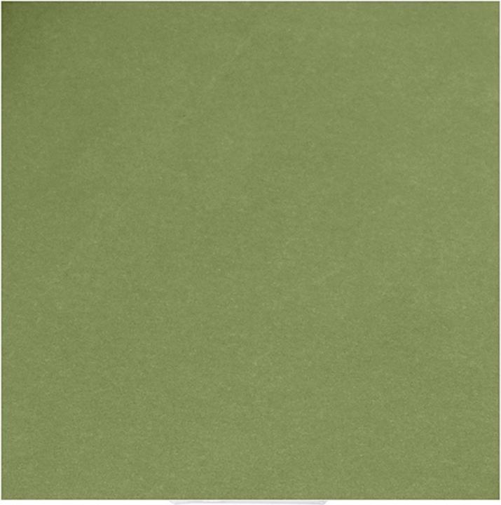 Image du produit Creativ Company Papier cuir vert (350 g/m²)