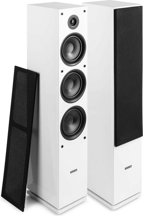Immagine prodotto Fenton SHF80W (500 W)