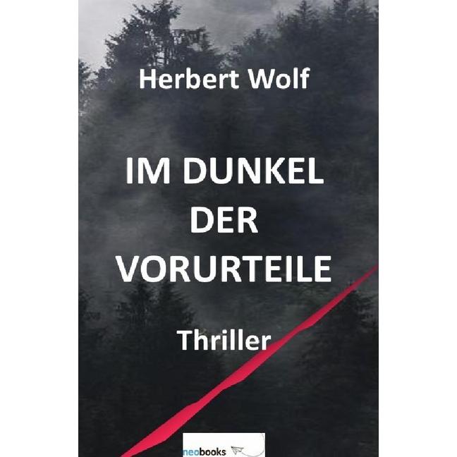 Im Dunkel der Vorurteile, Belletristik von Herbert Wolf