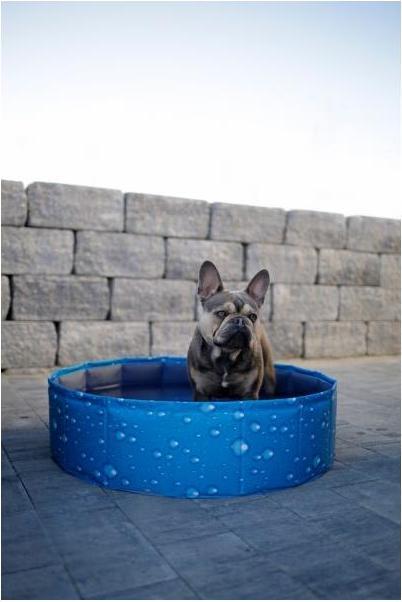 Actual product image Kerbl Bubble (Tug toy dog)