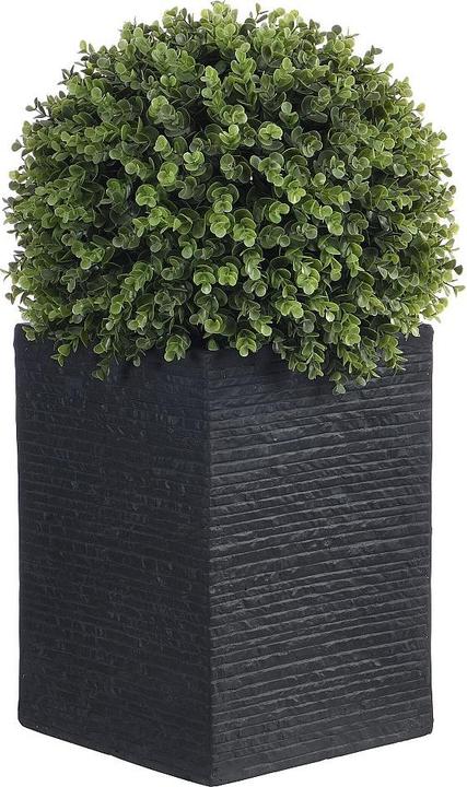 Immagine prodotto Ozaia Diava (66 cm)