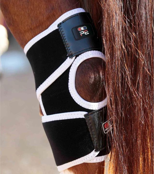Produktbild Premier Equine magnetische knieschützer für pferde magni-teque