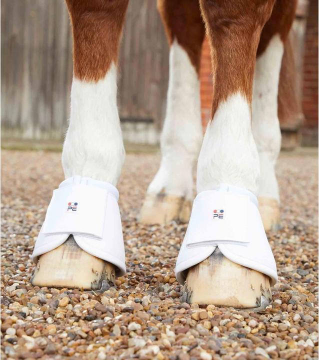 Produktbild Premier Equine Carbon Wrap Over Reach