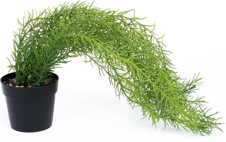 Domoletti Artificial plant, green, 460 mm (46 cm)