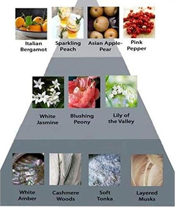 Produktbild Perry Ellis 360 Coral (Eau de Parfum, 100 ml)