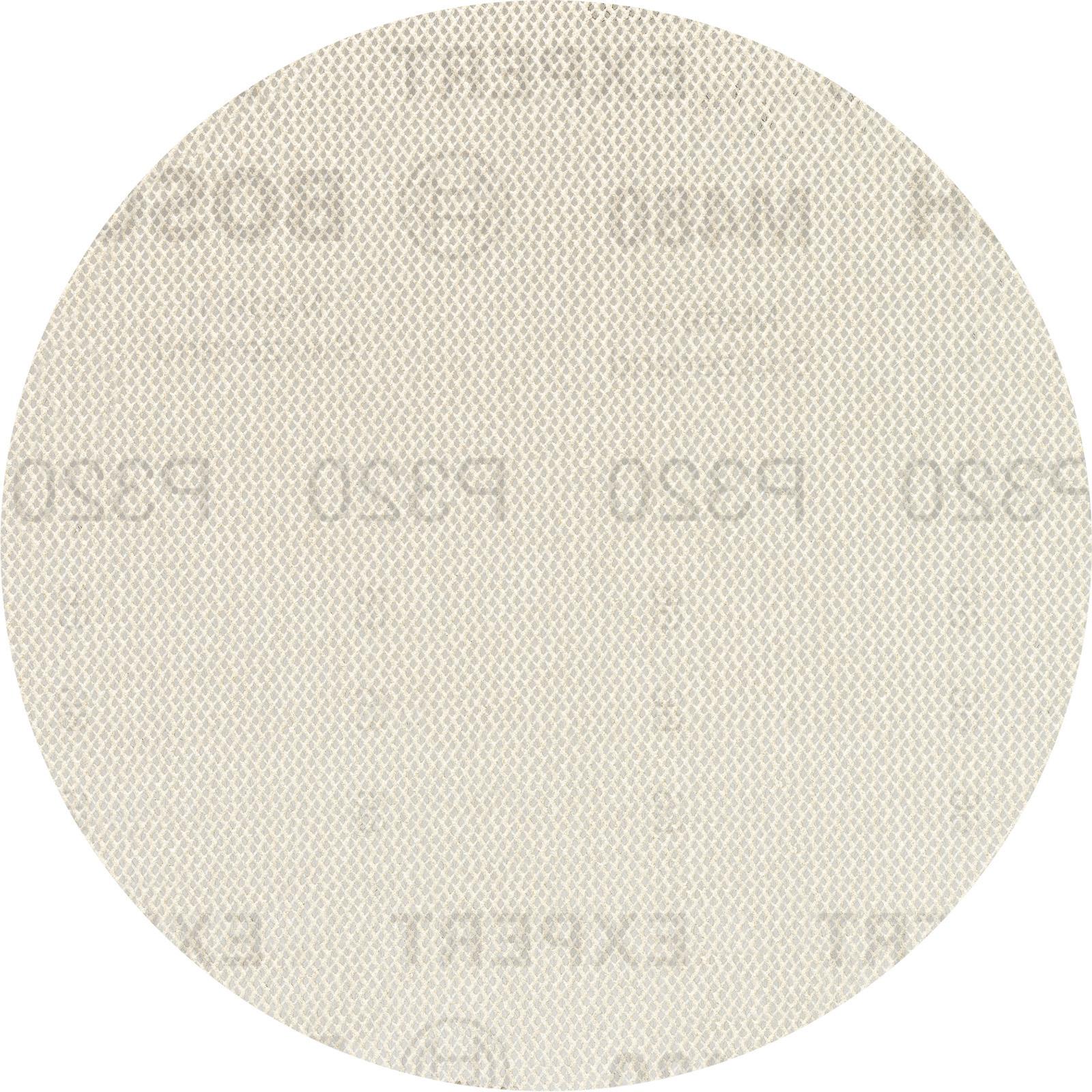 Bosch Professional Zubehör, Schleifmittel, EXPERT M480 Schleifnetz für Exzenterschleifer, 125 mm, G 320, 50 Stück (320)