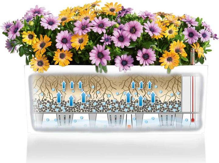 Productafbeelding Lechuza Balconera Kleur (79 x 19 x 19 cm)