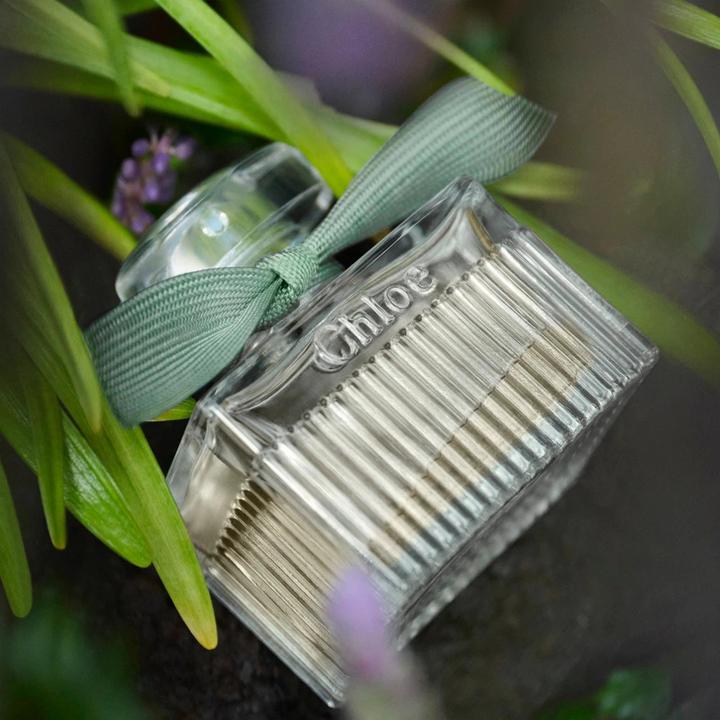 Image du produit Chloé Rose Natural Intense Eau de Parfum Refillable (Eau de parfum, 100 ml)