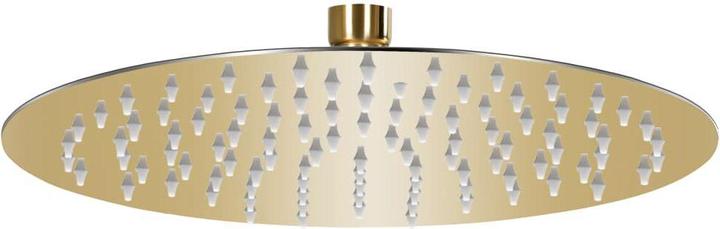 Produktbild vidaXL Duschkopf