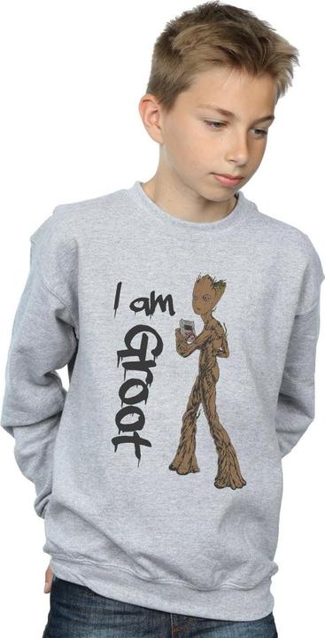 Image du produit - Sweat AVENGERS INFINITY WAR GRAFFITI GROOT - Garçon (140, 146)