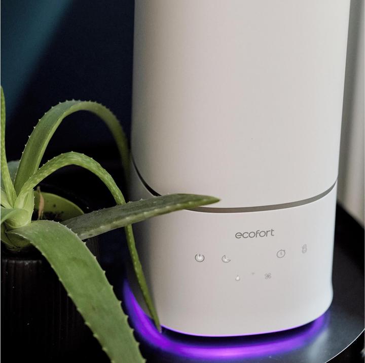 Actual product image ecofort ecoQ HumidAir U400 (55 m²)