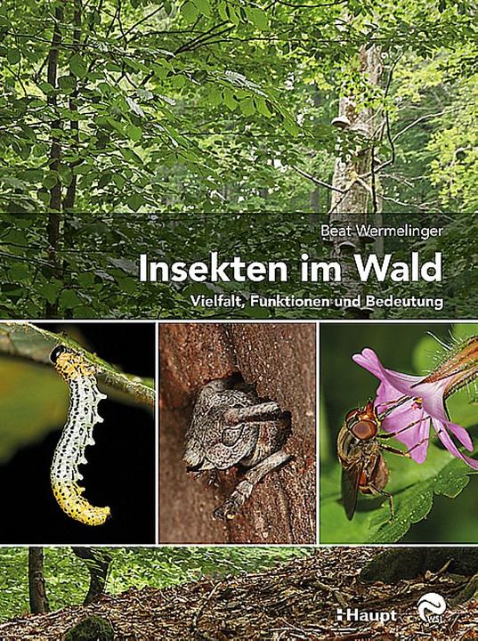 Produktbild Insekten im Wald (Deutsch)