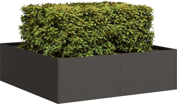 Immagine prodotto vidaXL Pflanzkübel