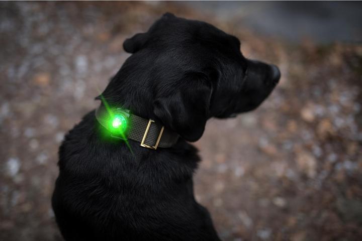 Image du produit Orbiloc Feu de sécurité à double LED (Taille unique, Chien, Général)