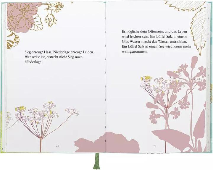 Produktbild Buddhas kleines Weisungsbuch (Deutsch, Jack Kornfield, 2021)