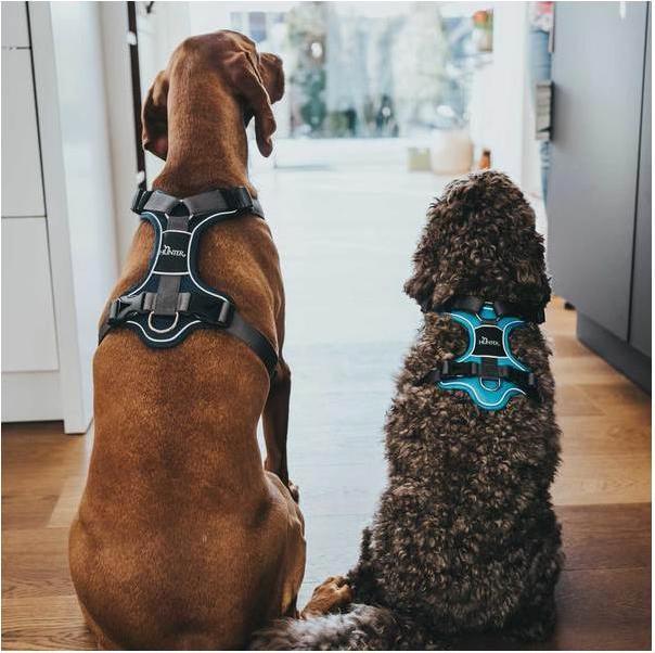 Productafbeelding Hunter Divo servies (L, Hond, Algemeen)