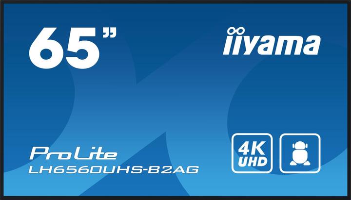 iiyama LFD ProLite LH6560UHS-B2AG (3840 x 2160 Pixel, 65")