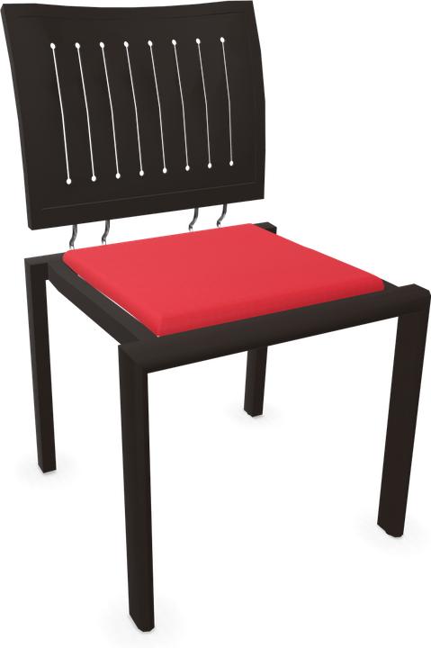 Camira Xtreme Belize