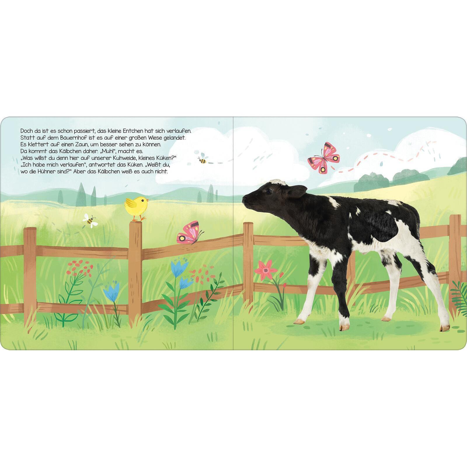 Thumbnail - Hör mal, kleines Küken!, Kinderbücher von Kathryn Selbert