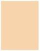 Produktbild BeneFit Cosmetics Boi-ing Cakeless (3 Light Neutral)