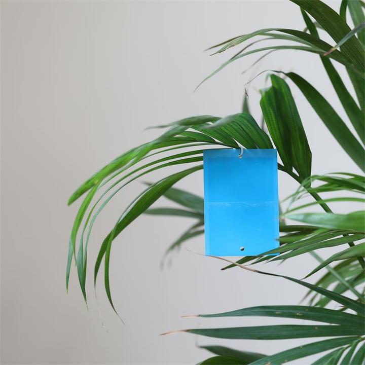 Produktbild Andermatt Biogarten Blaufallen