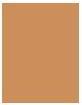 Actual product image Shiseido Synchro Skin Self Refreshing Powder Fond de Teint No 350 (350 Maple)
