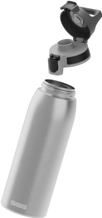 Image du produit Sigg Bouclier One brossé (1 l)
